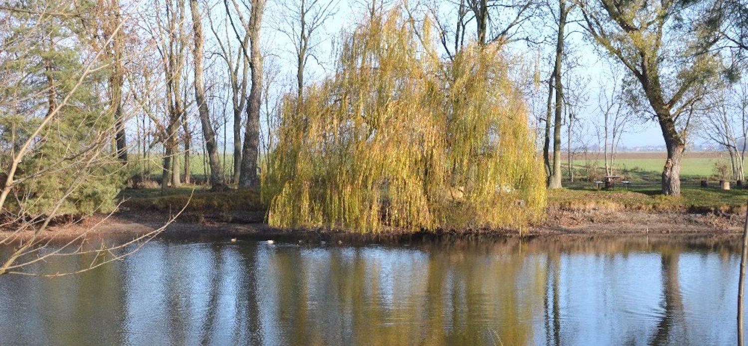 Hubenický rybník